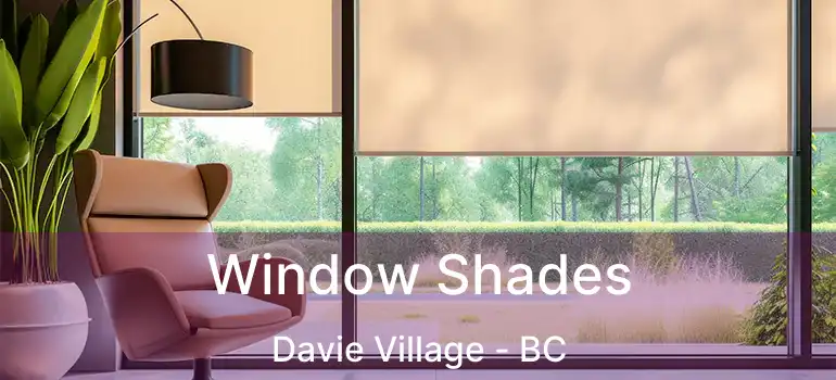  Window Shades Davie Village - BC