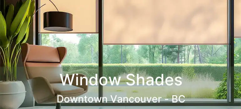  Window Shades Downtown Vancouver - BC
