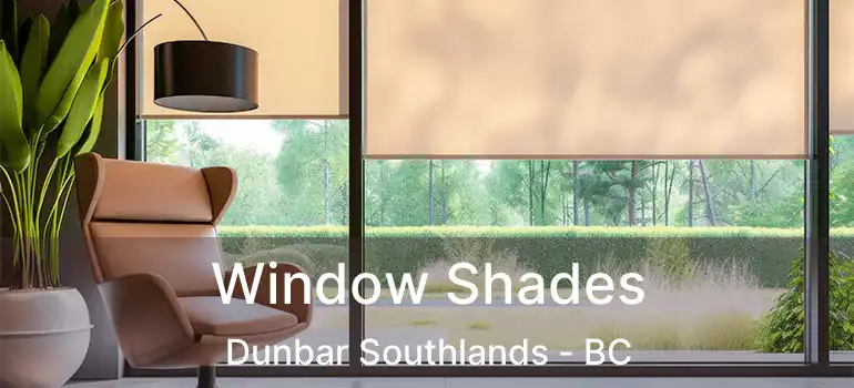  Window Shades Dunbar Southlands - BC