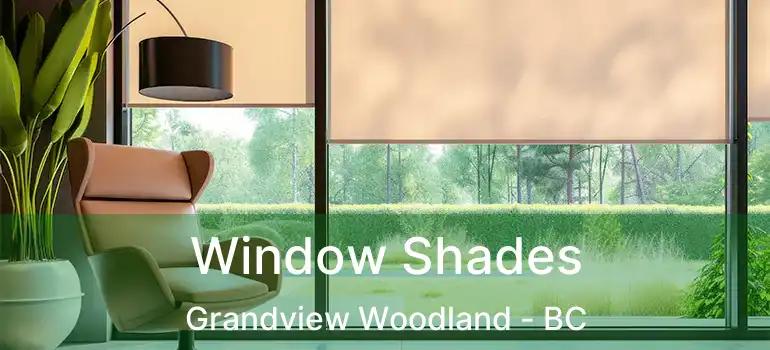 Window Shades Grandview Woodland - BC