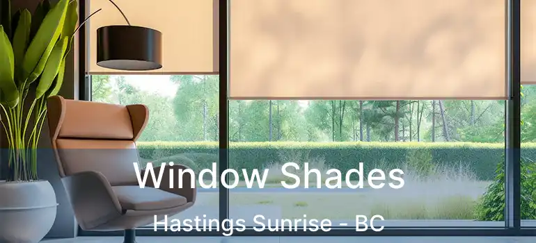  Window Shades Hastings Sunrise - BC