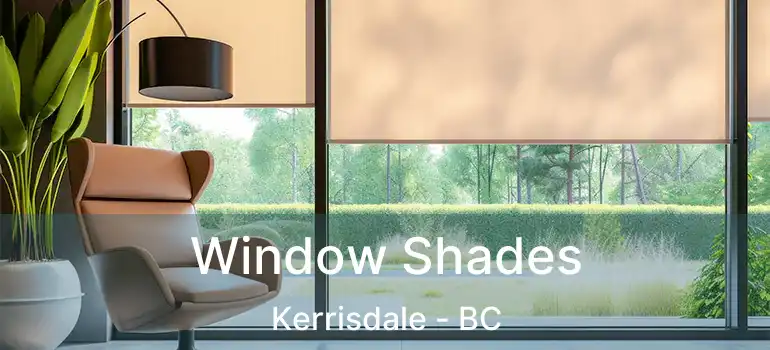  Window Shades Kerrisdale - BC