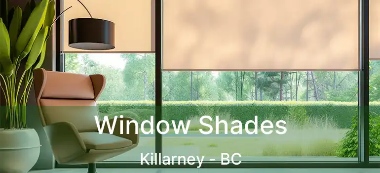  Window Shades Killarney - BC