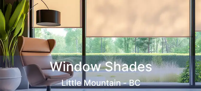  Window Shades Little Mountain - BC