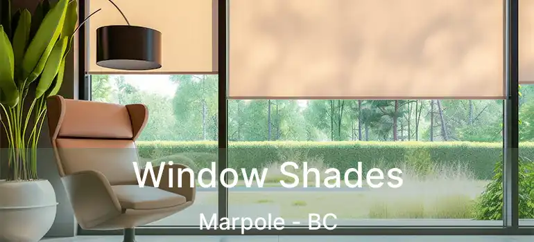  Window Shades Marpole - BC