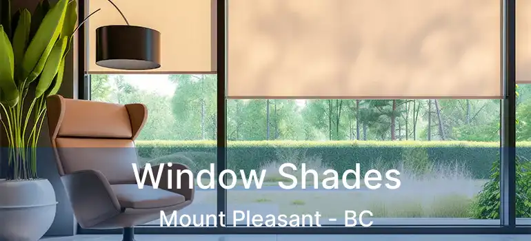  Window Shades Mount Pleasant - BC