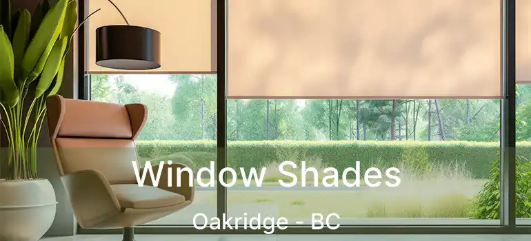  Window Shades Oakridge - BC