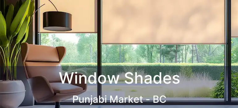  Window Shades Punjabi Market - BC