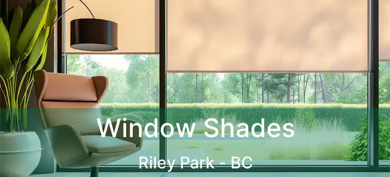  Window Shades Riley Park - BC