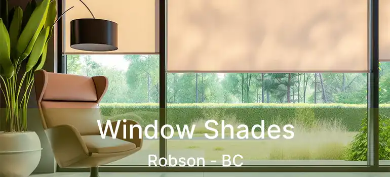  Window Shades Robson - BC