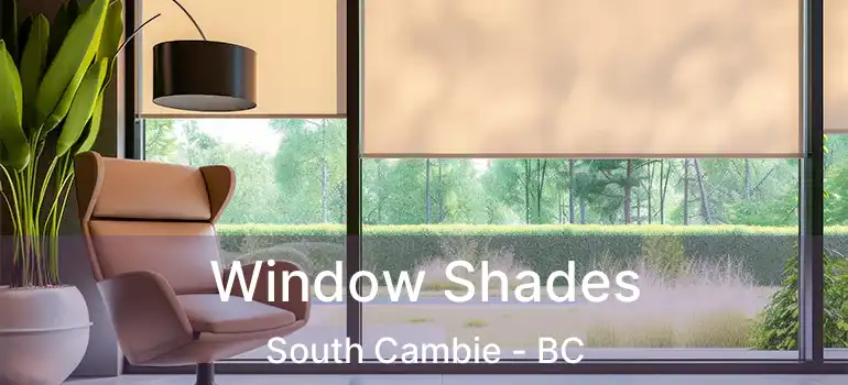  Window Shades South Cambie - BC
