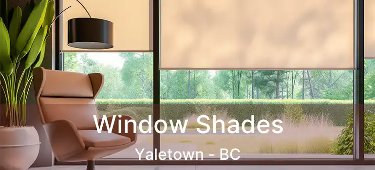  Window Shades Yaletown - BC