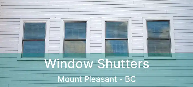  Window Shutters Mount Pleasant - BC