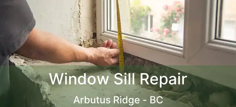  Window Sill Repair Arbutus Ridge - BC