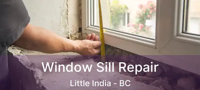  Window Sill Repair Little India - BC