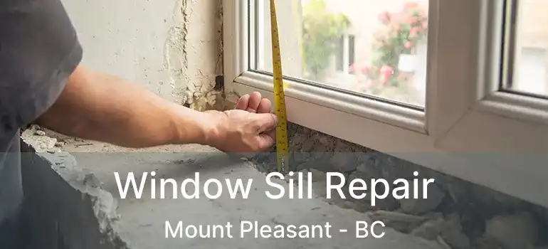  Window Sill Repair Mount Pleasant - BC