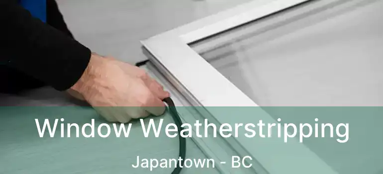  Window Weatherstripping Japantown - BC