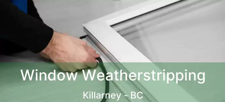  Window Weatherstripping Killarney - BC