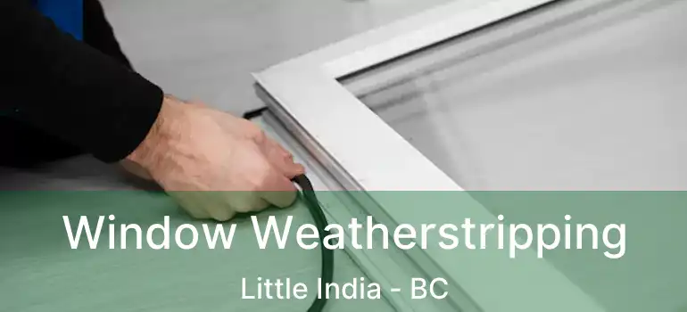  Window Weatherstripping Little India - BC