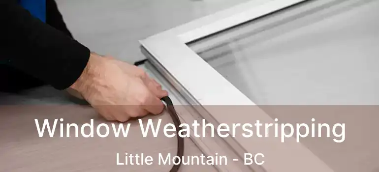  Window Weatherstripping Little Mountain - BC
