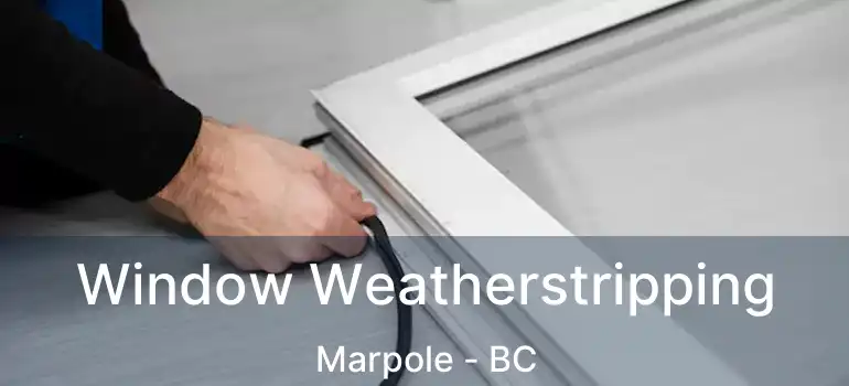  Window Weatherstripping Marpole - BC