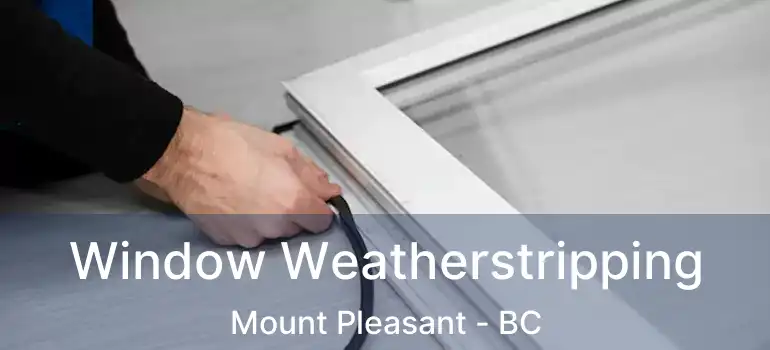  Window Weatherstripping Mount Pleasant - BC