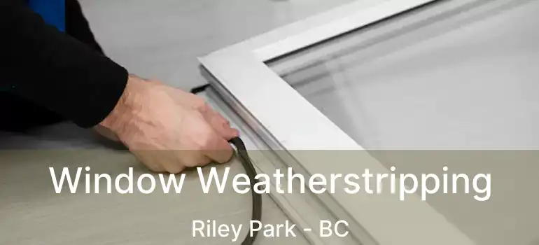 Window Weatherstripping Riley Park - BC
