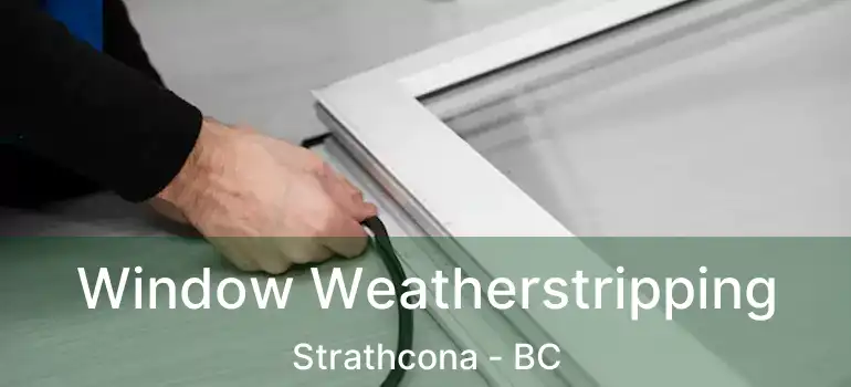  Window Weatherstripping Strathcona - BC