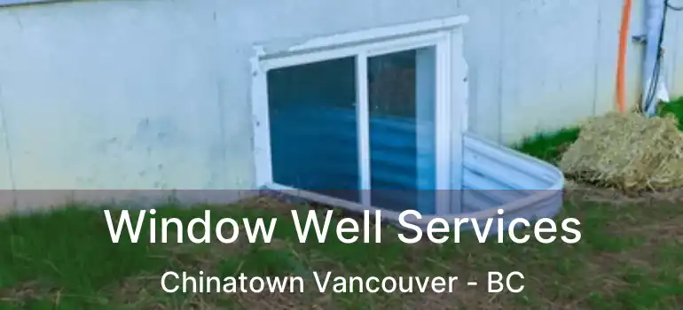  Window Well Services Chinatown Vancouver - BC