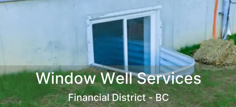  Window Well Services Financial District - BC
