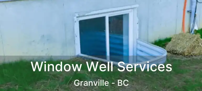  Window Well Services Granville - BC