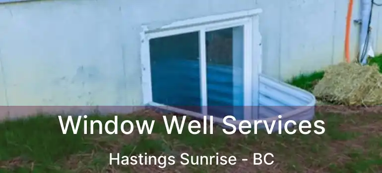  Window Well Services Hastings Sunrise - BC
