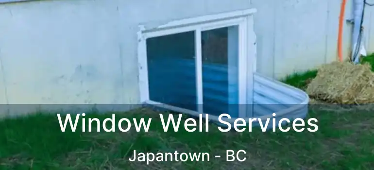 Window Well Services Japantown - BC