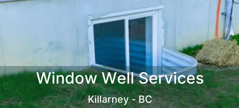 Window Well Services Killarney - BC