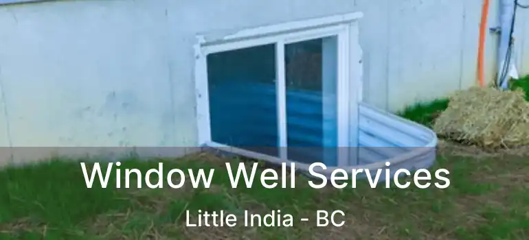  Window Well Services Little India - BC