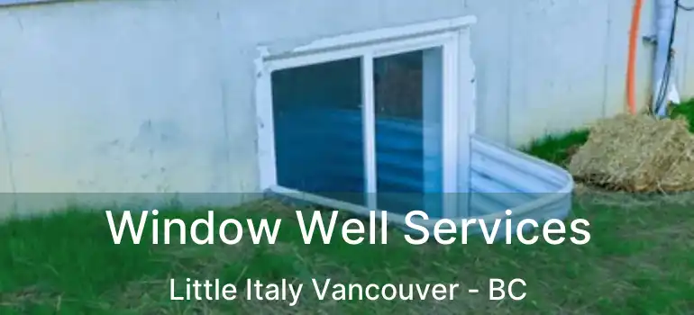  Window Well Services Little Italy Vancouver - BC