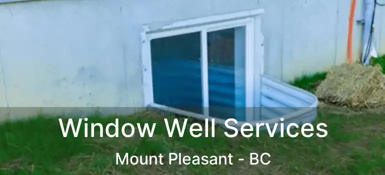  Window Well Services Mount Pleasant - BC