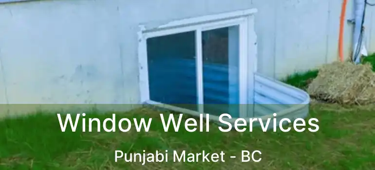  Window Well Services Punjabi Market - BC