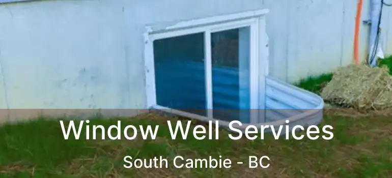  Window Well Services South Cambie - BC