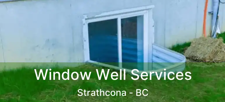  Window Well Services Strathcona - BC