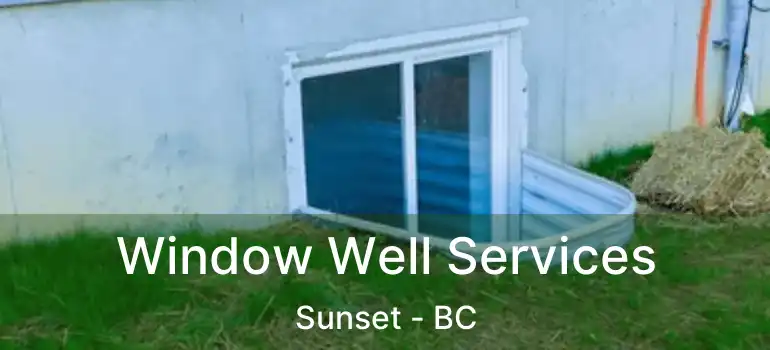  Window Well Services Sunset - BC