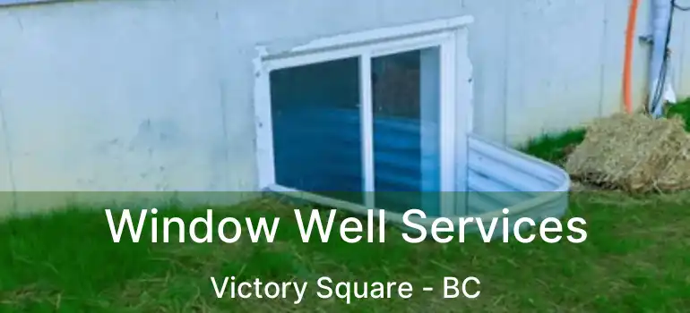  Window Well Services Victory Square - BC
