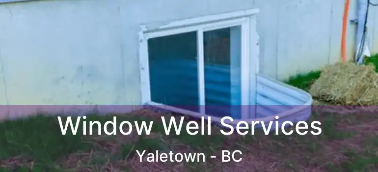  Window Well Services Yaletown - BC