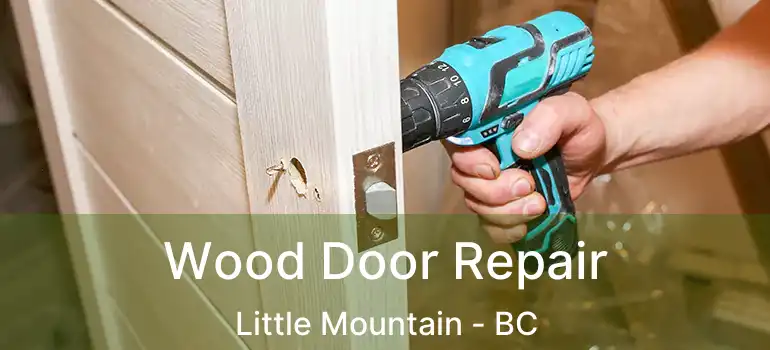  Wood Door Repair Little Mountain - BC