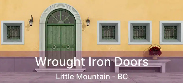  Wrought Iron Doors Little Mountain - BC